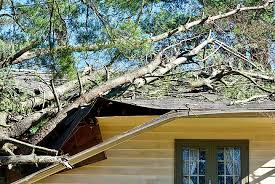 Photo of tree branch smashed through a house roof