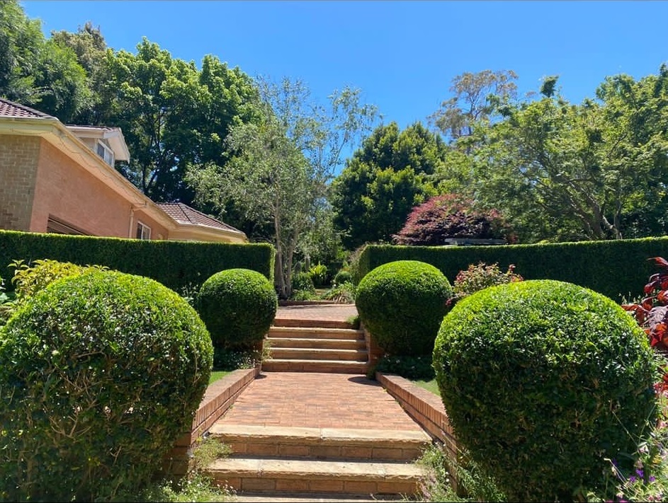photo of Julian SAFELY doing Hedging work