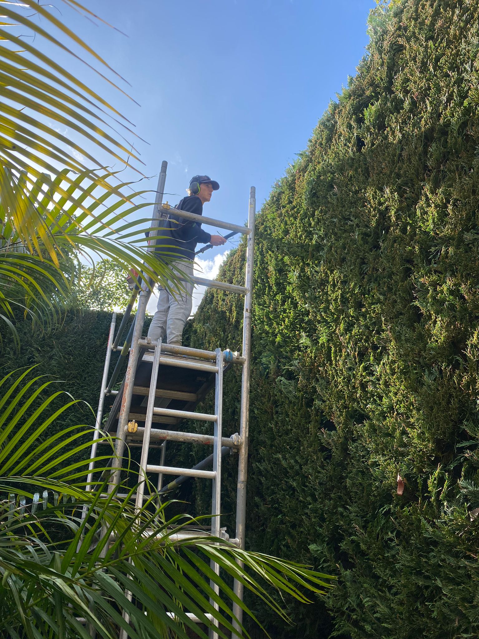 photo of Julian SAFELY doing Hedging work